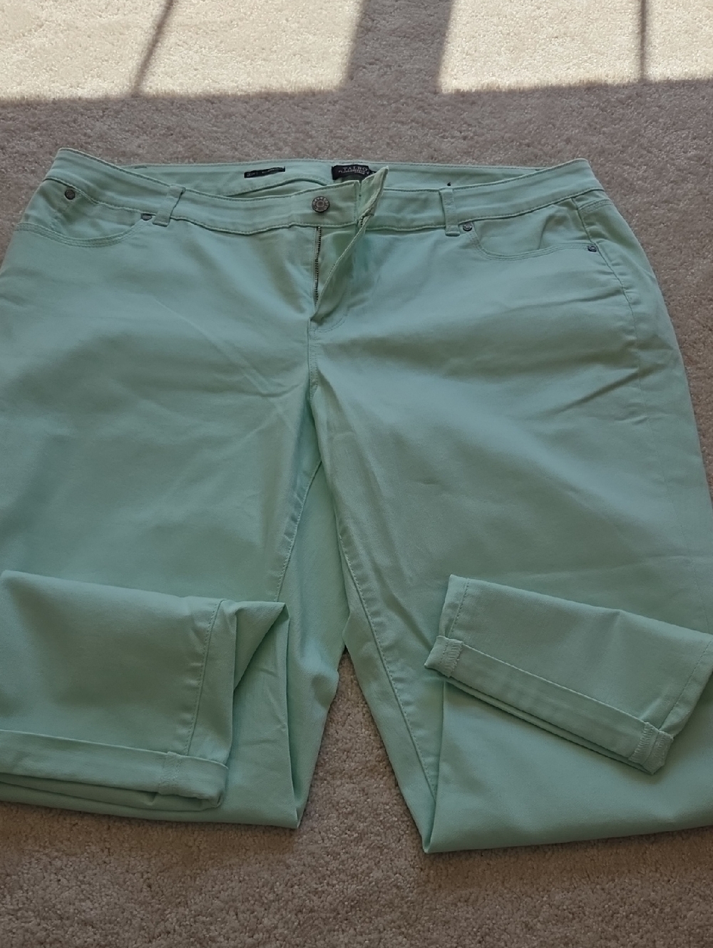 Talbots Mint Green Capri Pants